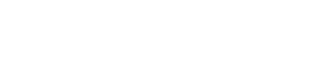 Logo WALY SOLUTION